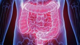 名家專用／每日健康（勿用）