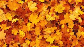 時報出版提供＋翻攝自pixabay