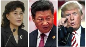 蔡霞,習近平,川普