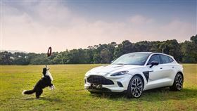 ▲Aston Martin DBX（圖／Aston Martin提供）