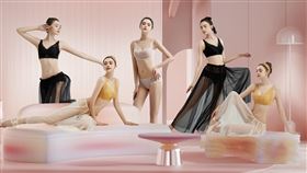 ▲黑天鵝全養護系列/美養內衣，以