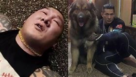 館長、大雄／臉書