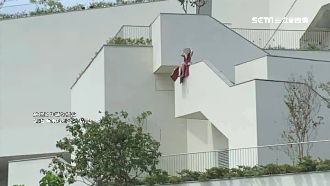 為拍美照跨坐圍牆　南美館：無法可罰