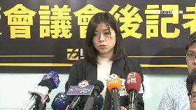 時力新黨魁1200.