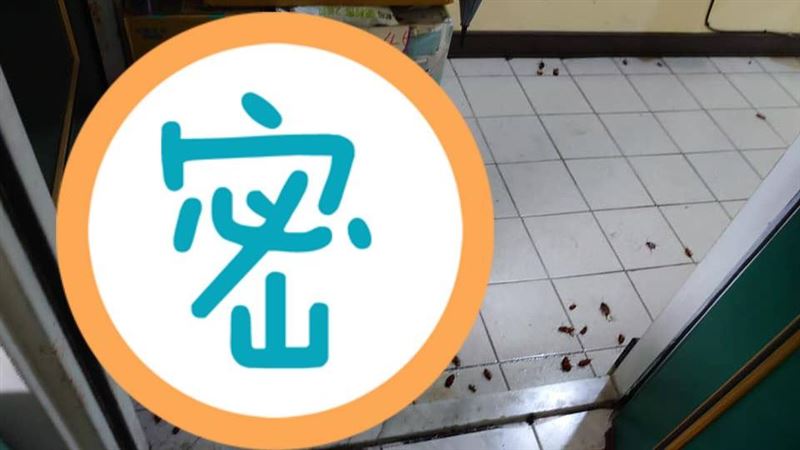 鄰居是養蟑大戶　他門一開50隻狂爬