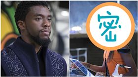 ▲《黑豹》（圖／翻攝自IMDb）