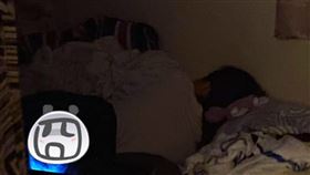 貓,靈異,怨伶,恐怖,喵星人,媽媽