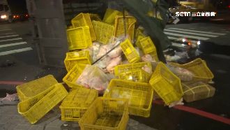 撞翻肉品貨車　雞鴨鵝散一地損失百萬