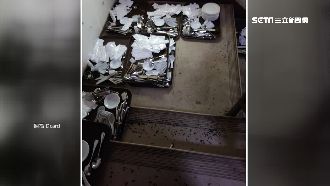 五星飯店嚇見蟑鼠　複查不合格罰6萬