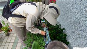 登革熱（圖／疾管署提供）