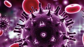 名家專用／每日健康（勿用）