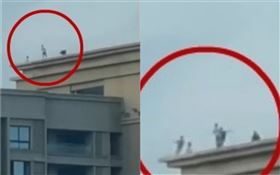 6名孩童在30層頂樓嬉戲（圖／翻攝自微博）
