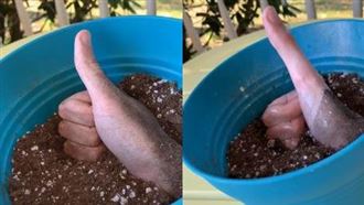 拿水澆拇指　1秒變「2倍長」網嚇傻