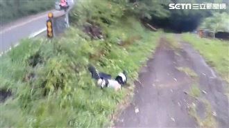 男大生墜邊坡身亡　家屬認屍哭求真相