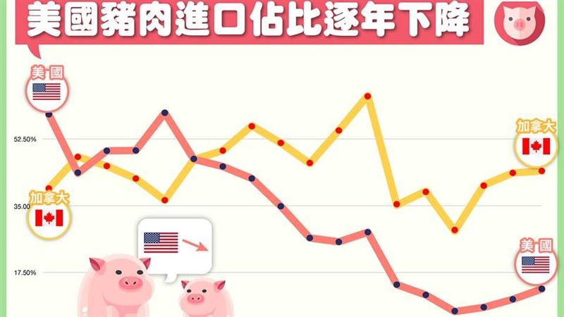 美豬將威脅？他2圖曝台豬強大競爭力