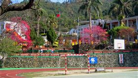 國中小31日開學，新竹縣橫山鄉內灣國小卻沒有一年級新生入學。圖為內灣國小校園一景。（圖／翻攝自facebook.com/hcneiwan）
