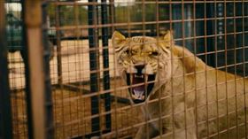 重裝救援：全境獵殺,梅根福克斯,獅子　圖／翻攝自YouTube