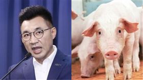 江啟臣、豬。（組合圖／資料照、農委會提供）
