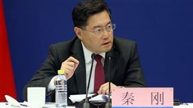 中國外交部副部長秦剛（圖／翻攝自中國外交部官網）