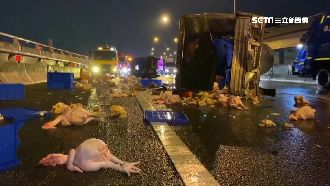 貨車撞資源回收車慘翻　雞隻落滿地…