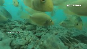 明潭魔鬼.多1800