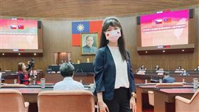 民進黨籍立委高嘉瑜說，這是立法院歷史性的一刻！捷克參議長韋德齊演說結語大呼：「我是台灣人！」（圖／翻攝自高嘉瑜臉書）

