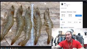 所以海鮮直播　商機有百億元？館長,陳之漢,海鮮,直播
（圖／翻攝自館長陳吉思汗yotube頻道）