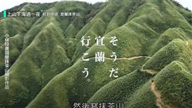 爆紅「抹茶山」怎麼玩？　秘境大解鎖