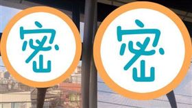 窗台驚見超巨大蜥蜴，讓女網友嚇壞。（圖／翻攝自okamiosake推特） 