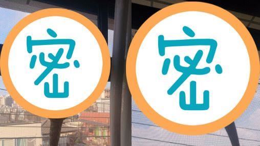 「驚悚巨物」掛紗窗！瞬間消失她嚇傻