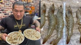 館長,養蝦,蝦價創新低,蝦農