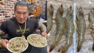 館長稱「加藥」價暴跌　蝦農：被害慘