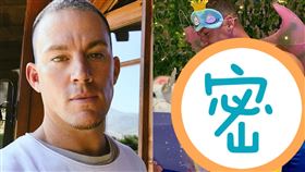 查寧塔圖（圖／翻攝自IG）