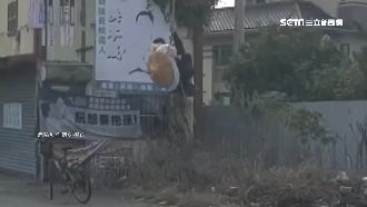 化身泰山想練功？彰化男抓電纜掛半空