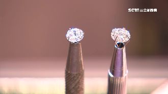 搶當科技農夫！直擊全台唯一鑽石農場