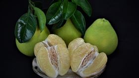 文旦（農委會提供）