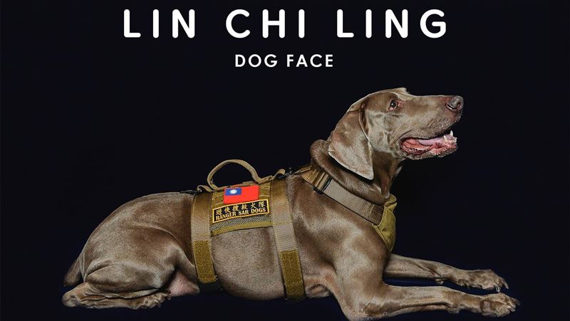 一生救無數人！搜救犬「林志玲」辭世