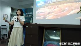 台灣動物社會研究會副執行長陳玉敏（記者陳弋攝影）