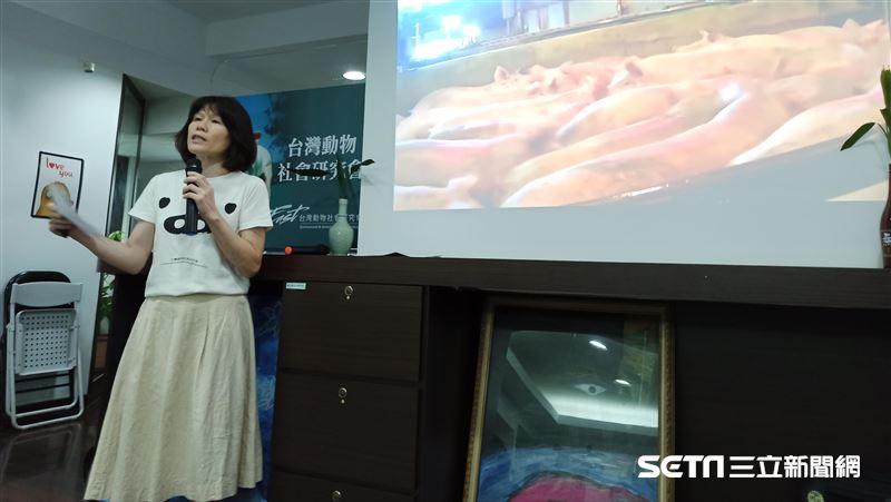動保團體：人吃瘦肉精肉品攻擊性恐增