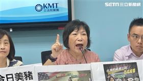 國民黨立院黨團、葉毓蘭、洪孟楷、李德維（圖／記者林恩如攝影）