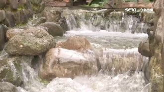 美景淪死水！高雄龍巖冽泉慘變髒水溝