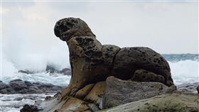 基隆市府設審議委員會　海豹岩研商管理基隆海豹岩因缺乏管理單位，常有遊客攀爬踩踏、拍照。基隆市政府3日表示，已組成審議委員會，由委員決定是否指定為自然紀念物，希望日後可在文資法規範下，讓相關單位可以維護管理。（基隆鳥會提供）中央社記者沈如峰基隆傳真　109年9月3日