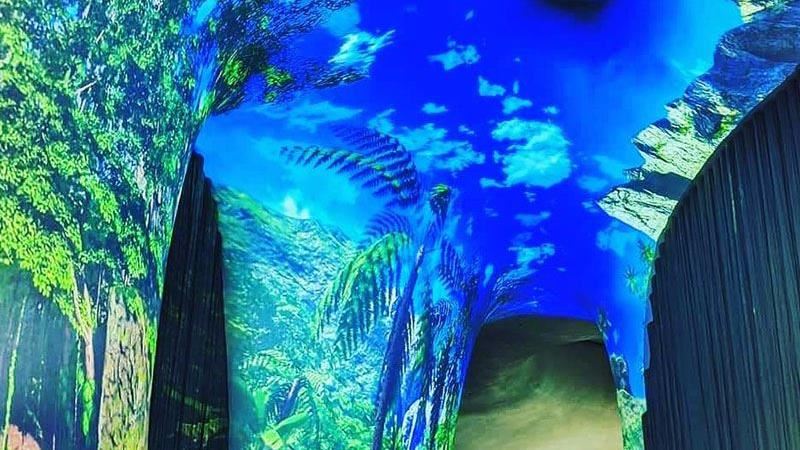 最美歌劇院獨有曲牆變畫布！