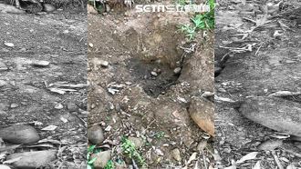 嗑藥虐死同居人女兒　南投埋屍地點曝