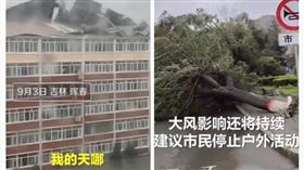 梅莎颱風橫掃中國吉林（圖／翻攝自沸點視頻）