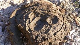 牛糞，印度，大便，屎，糞便（圖／翻攝自PIXABAY）