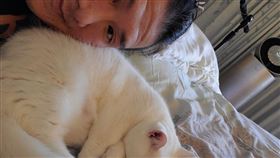 快訊／館長終於回家了！臉書曬愛貓：我以為我看不到你了（圖／翻攝自飆捍臉書）