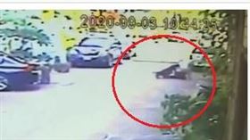 雙比特犬恐怖夾殺！撕咬台中3人送醫（圖／陳佳鈴翻攝）