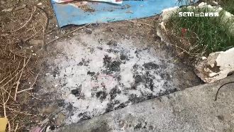 女童遭殺害埋屍　台中還有6童失蹤中