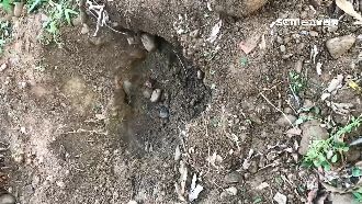 阿嬤派出所報案尋孫女　生母隔天撤銷